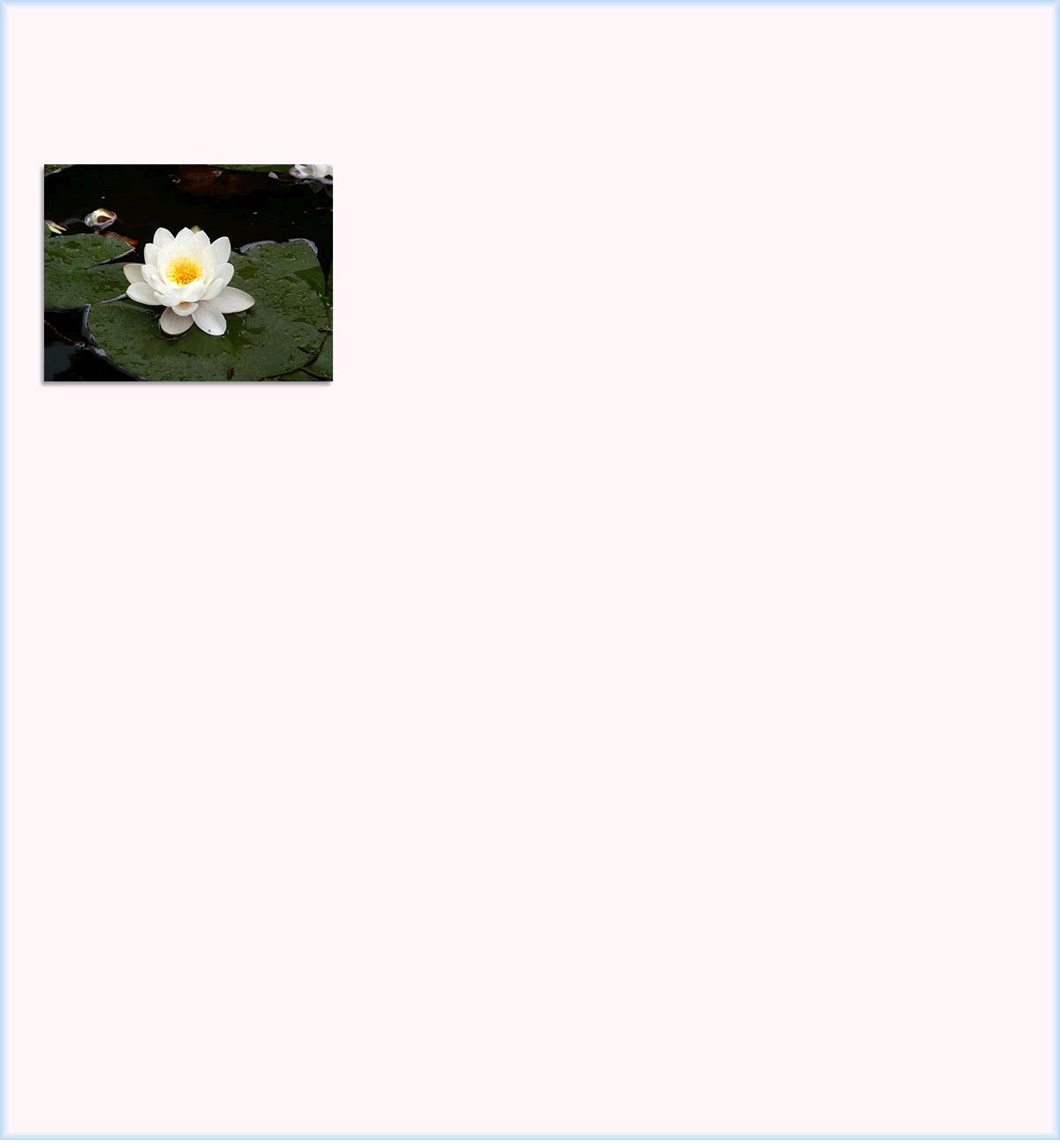 item3