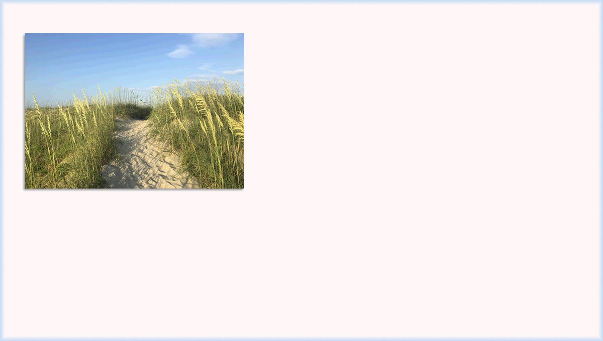 ServicesBackground
